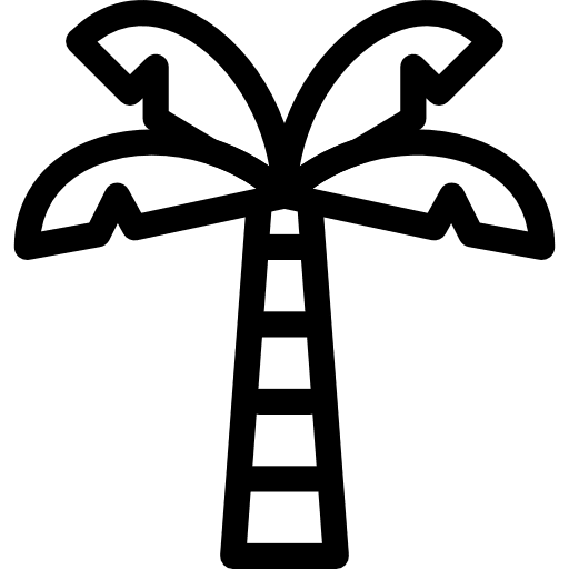 Palm tree palm tree ecology and environment oasis icon