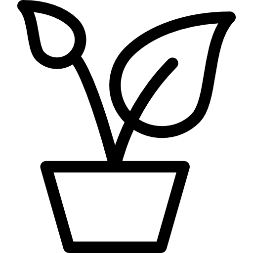 Plant leaves holidays plant icon