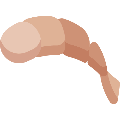 Shrimp seafood food and restaurant sea life icon