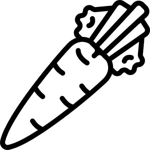 Carrot vegetable vegetarian healthy food icon