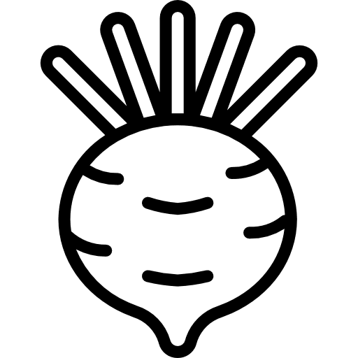 Turnip organic turnip vegetable icon