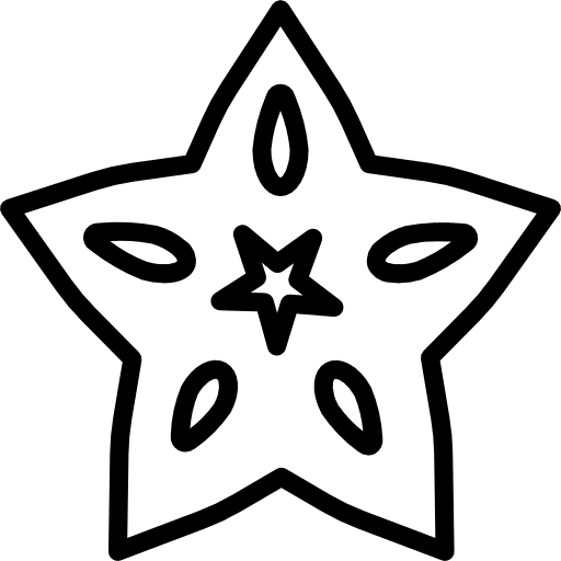 Star fruit food diet fruit icon