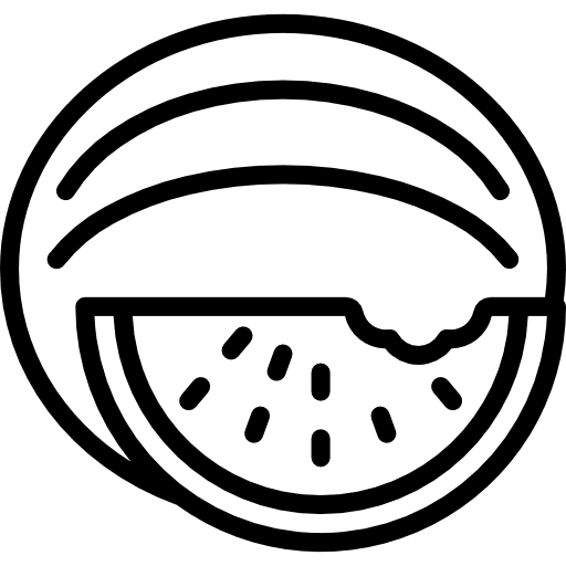 Watermelon healthy food vegan food icon