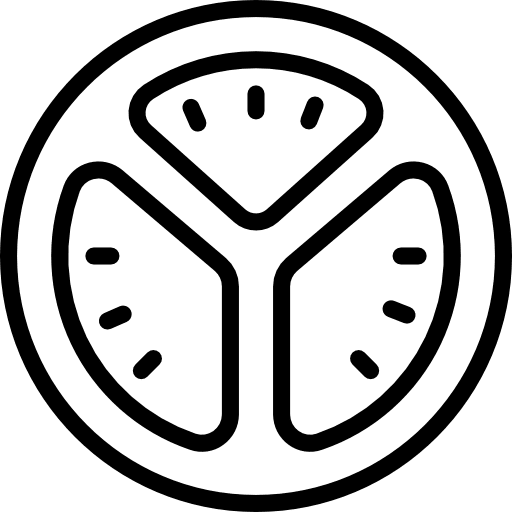 Lemon organic diet vegan icon