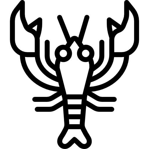 Lobster lobster food animal icon