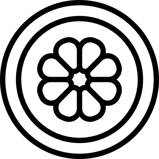 Orange food and restaurant vegetarian orange icon