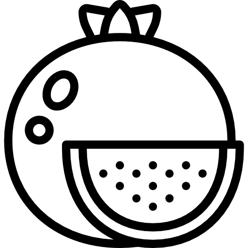 Pomegranate vegan vegetarian food icon