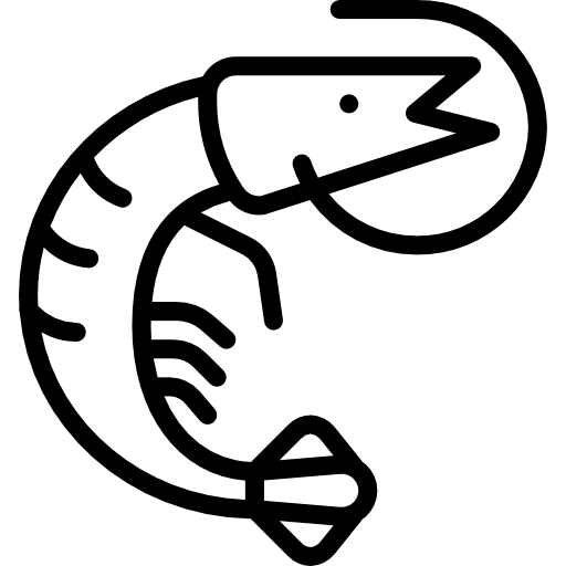 Shrimp shellfish seafood sea life icon