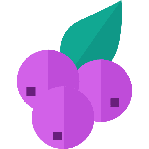 Blueberry fruit healthy food icon