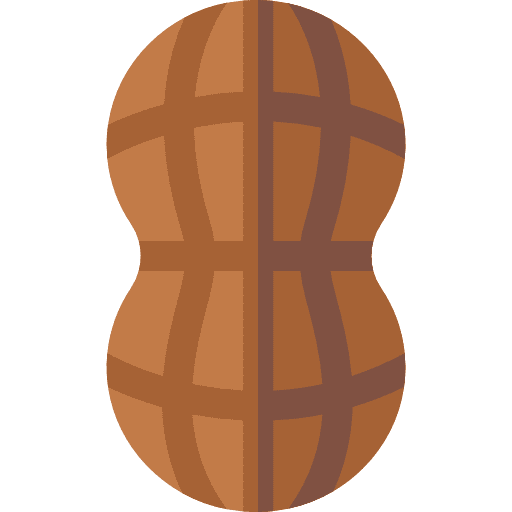 Peanut peanuts peanut salty icon