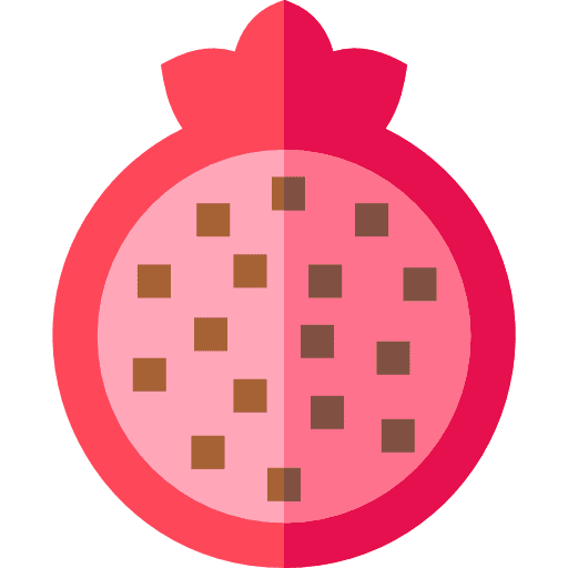 Pomegranate pomegranate organic fruit icon