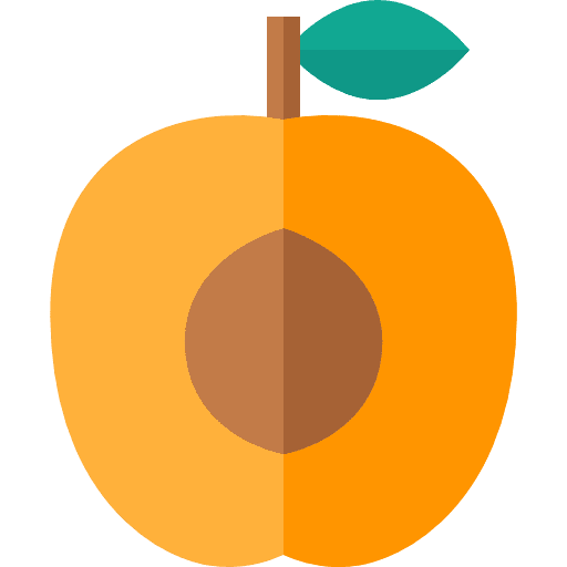 Apricot vegetarian vegan food icon