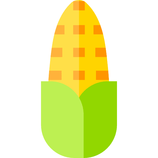 Corn vegan food cereal icon