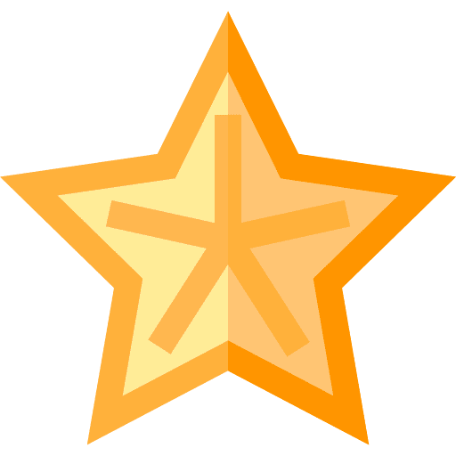 Star fruit vegan diet healthy food icon