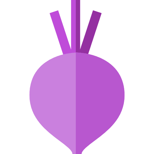 Beet vegan beet food icon