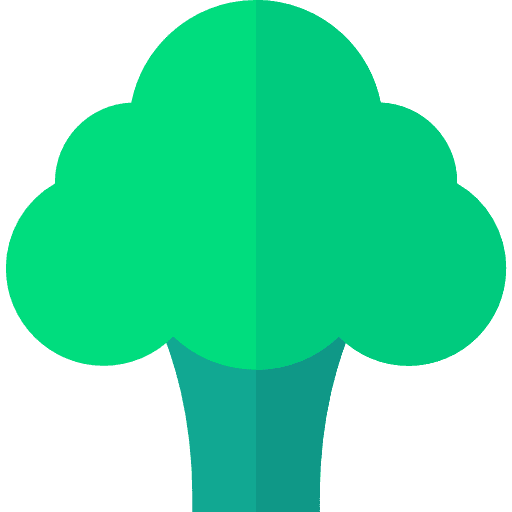Broccoli broccoli food healthy food icon