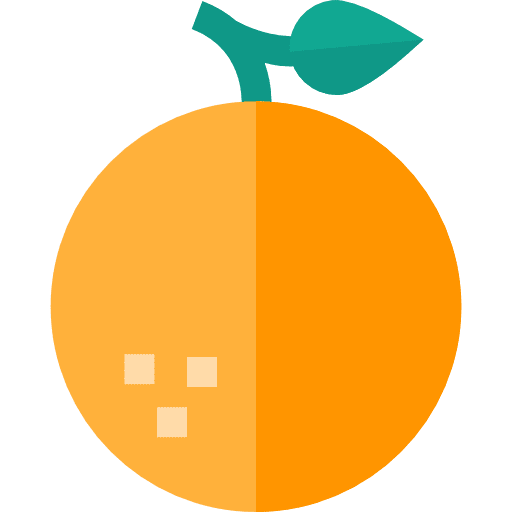 Orange healthy food organic diet icon