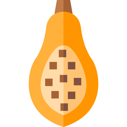 Papaya fruit food food and restaurant icon