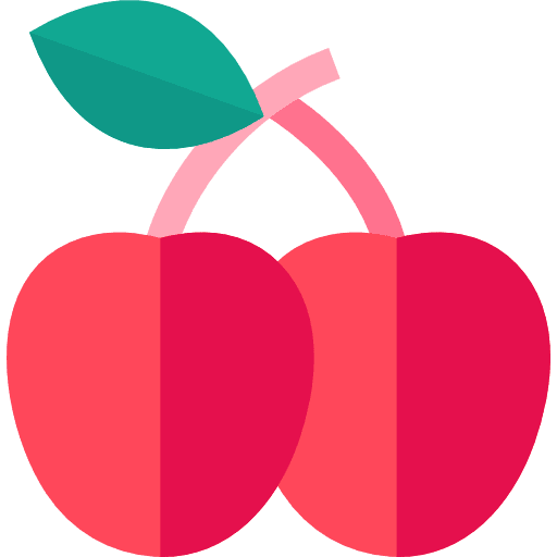 Plum diet plum fruit icon