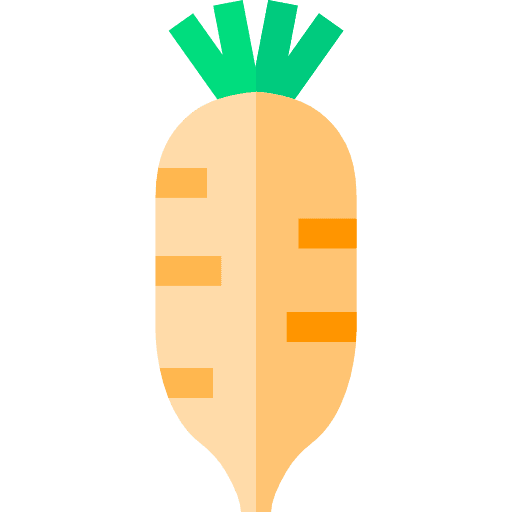 Radish diet vegan organic icon