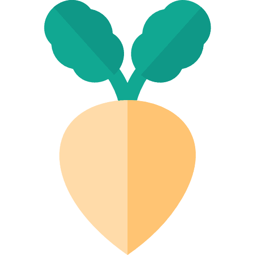 Turnip food vegan turnip icon