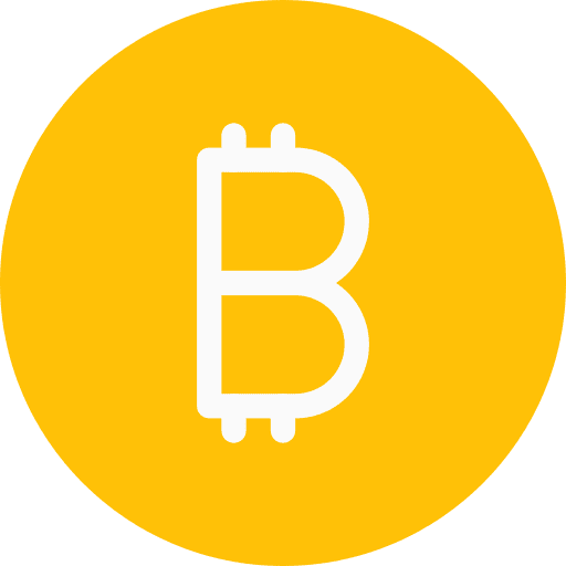 Bitcoin cash coin currency icon