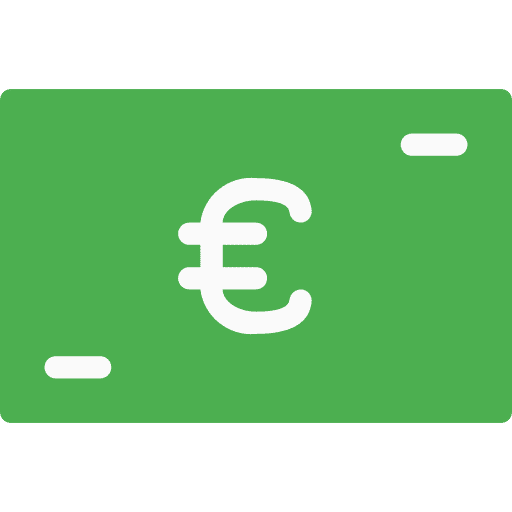 Euro business cash coin icon