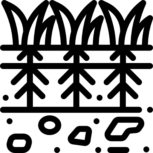 Plants growth plants nature icon