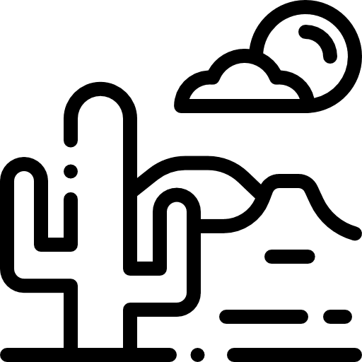 Cactus nature dry dessert icon