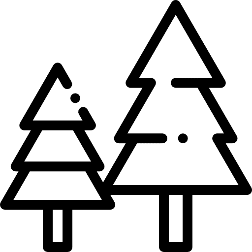Trees pine fir nature icon