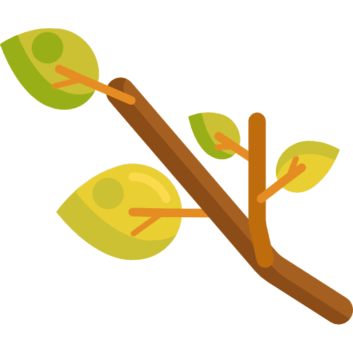 Branch leaves tree branch plant icon