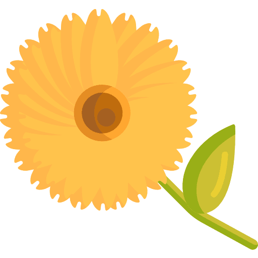 Calendula nature calendula petals icon