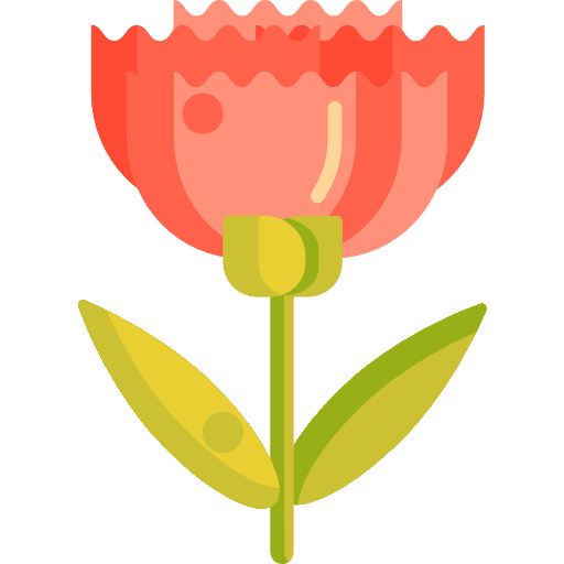 Carnation nature petals carnation icon