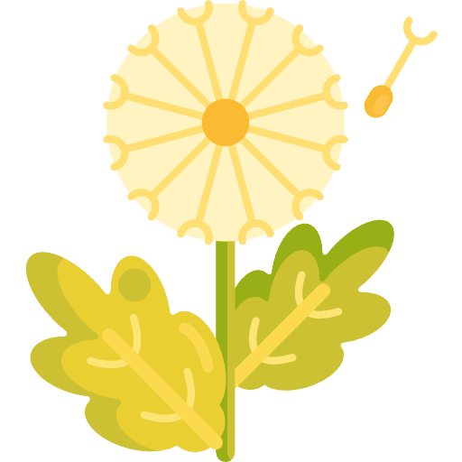 Dandelion nature dandelion plant icon
