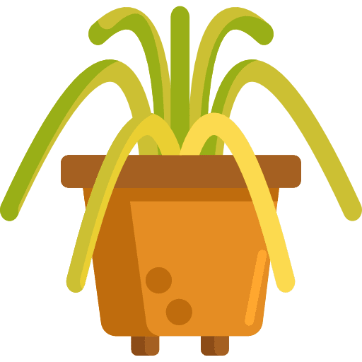 Potted plant potted plant plant nature icon