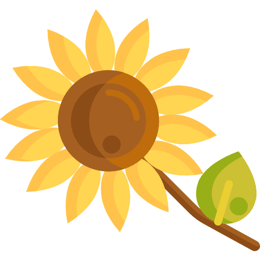 Sunflower blossom flowers plant pot icon
