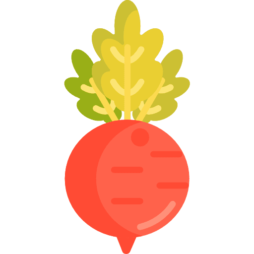 Beet beet food and restaurant healthy food icon