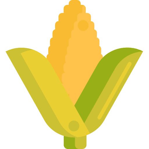 Corn corn healthy food diet icon