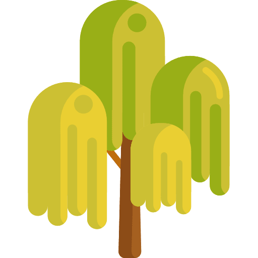 Weeping willow nature tree ecology icon