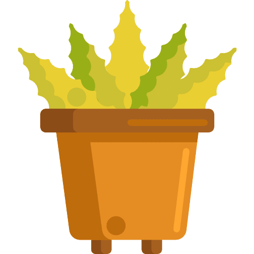 Aloe vera nature plant gardening icon