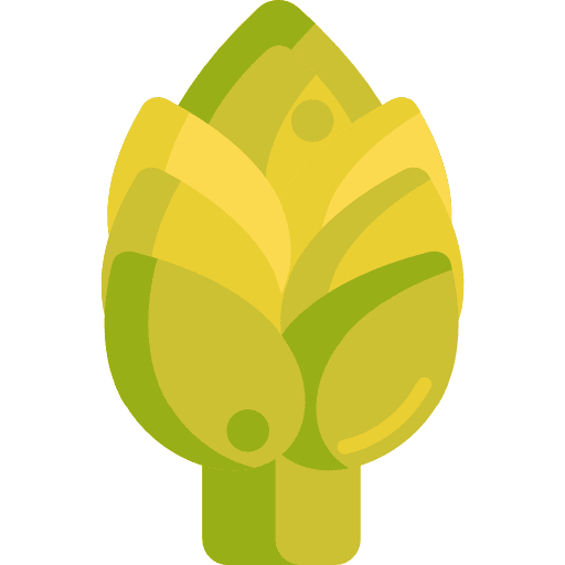 Artichoke diet artichoke healthy food icon