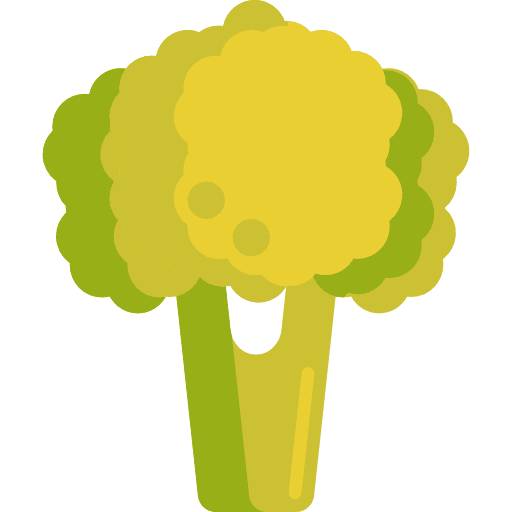 Broccoli vegetarian vegetable vegetables icon