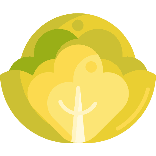 Cabbage food and restaurant diet vegetarian icon