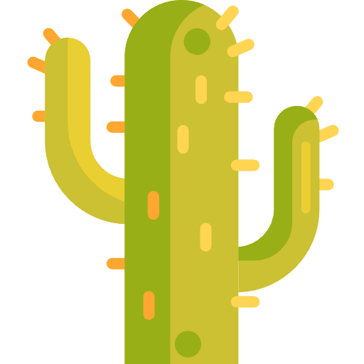 Cactus plant cactus dry icon