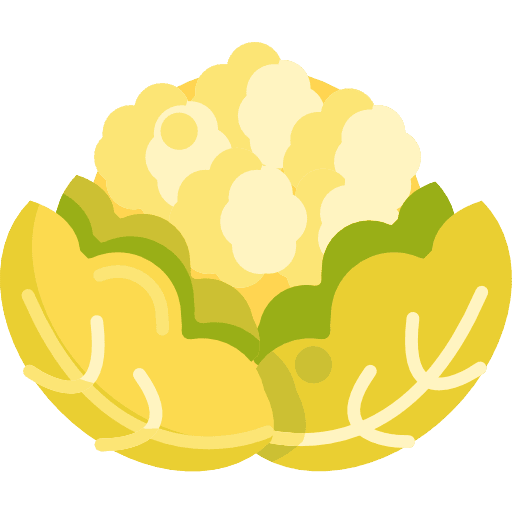 Cauliflower food healthy cauliflower icon