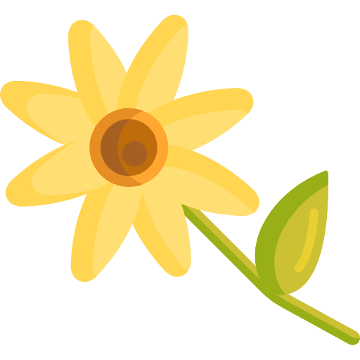 Daisy petals nature flower icon