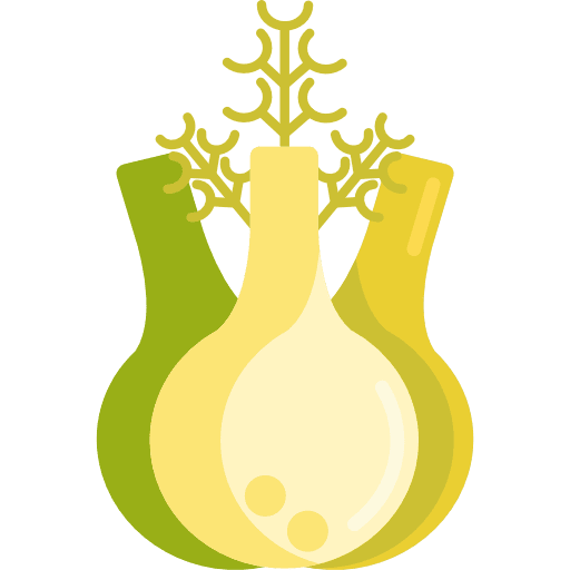 Fennel organic vegetable diet icon