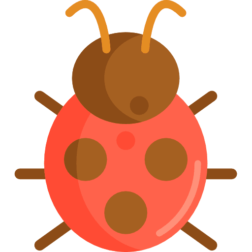 Ladybug bug nature insect icon