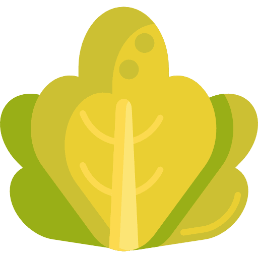 Lettuce organic vegetarian vegan icon