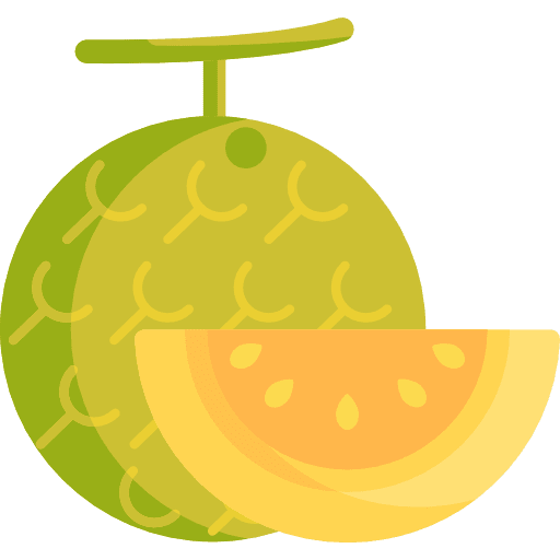 Melon vegetarian food fruit icon